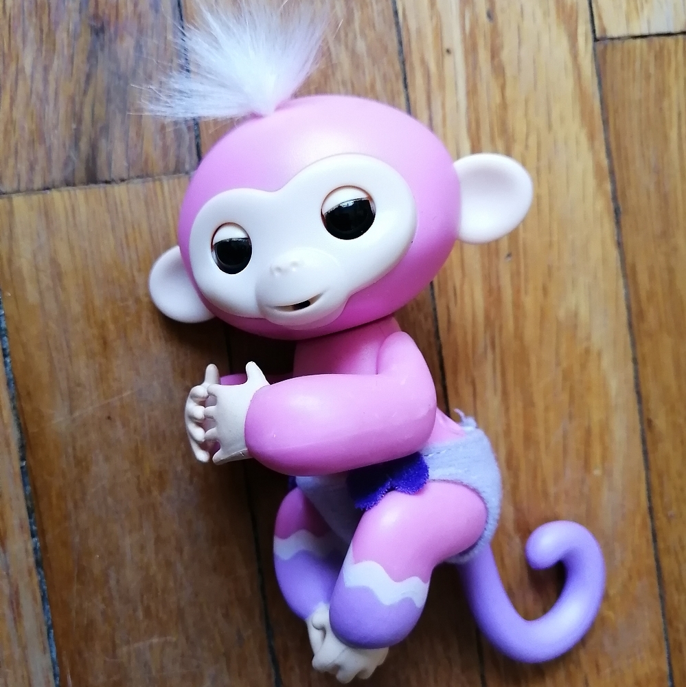 Finger ling monkey